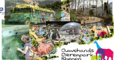 zoo Holandia 2020