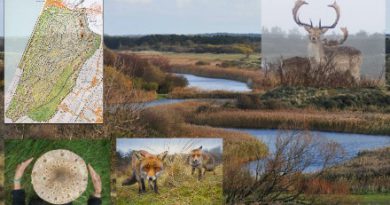 Amsterdamse Waterleidingduinen