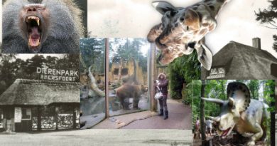 DierenPark Amersfoort