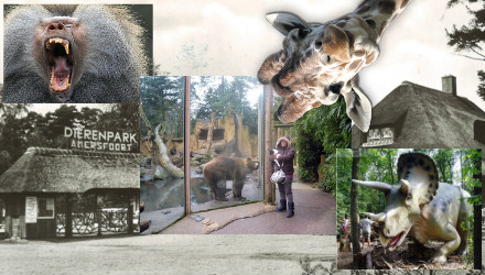 DierenPark Amersfoort