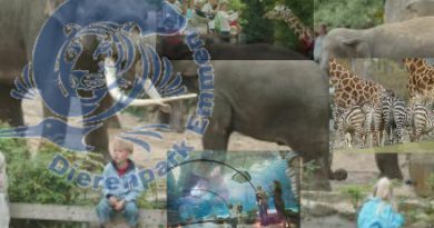 Dierenpark Emmen