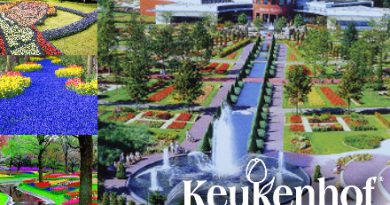 Keukenhof