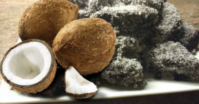 domowe kokosanki