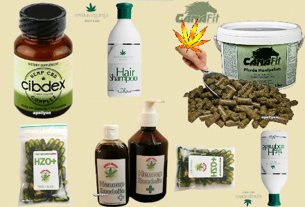 lecznicza marihuana