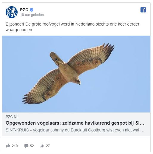 W Zelandii pojawił się niezwykle rzadki orzeł 10 Przechwytywanie