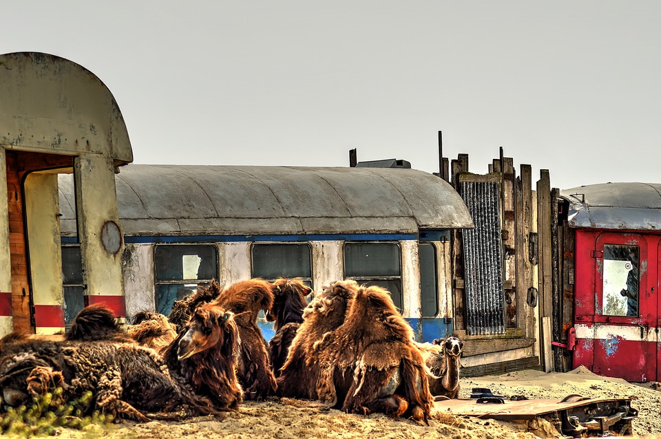 Drenthe - prehistoryczny "zalążek" Holandii 18 desert 2785632 960 720