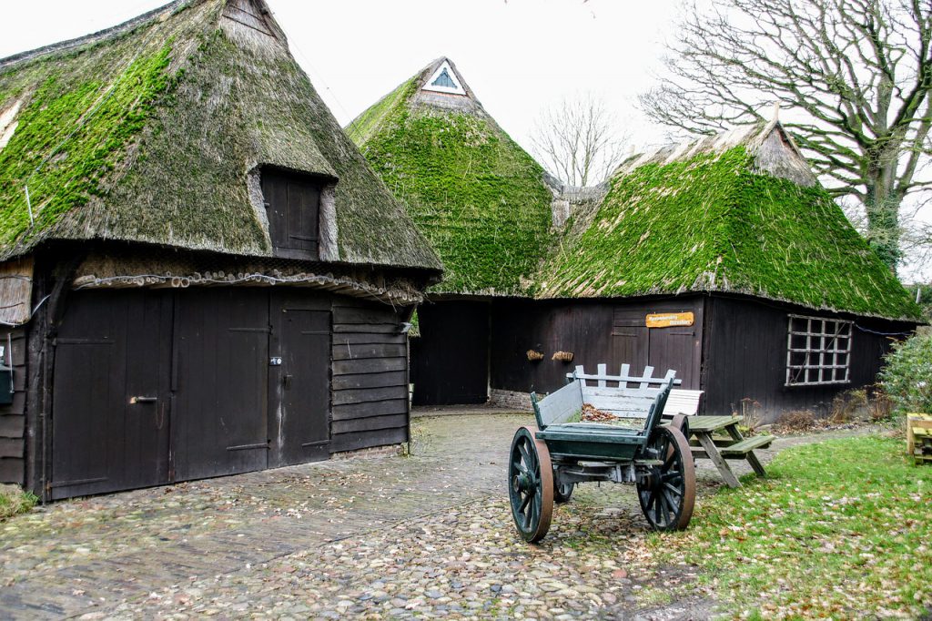 Drenthe - prehistoryczny "zalążek" Holandii 15 farm 4714601 1280