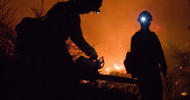 Pożar Holandia Limburgia 2020