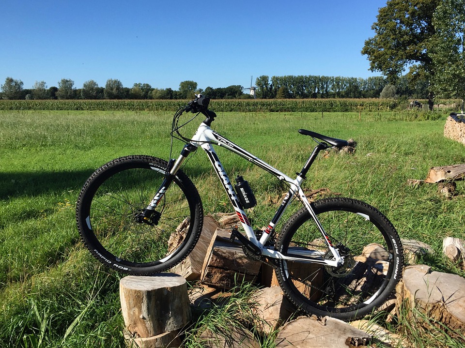 Woningsdag zamiast Koningsdag? Zobacz, jak będzie wyglądał Dzień Króla `2020 16 mountain bike 1552223 960 720