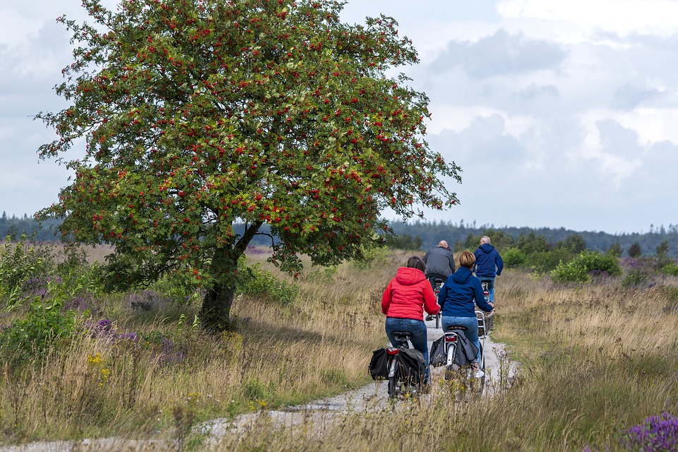 Drenthe - prehistoryczny "zalążek" Holandii 14 people 4554681 960 720