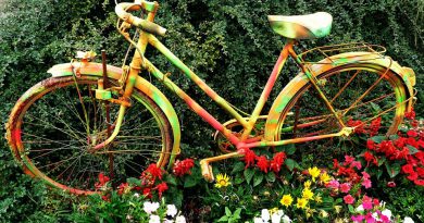 Holandia rower