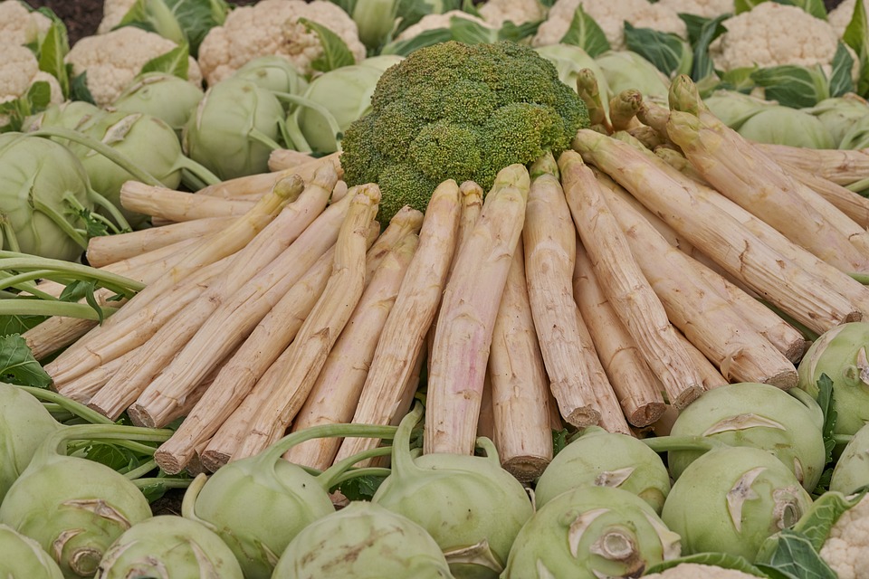 'Białe złoto' Holandii: 10 ciekawostek, prawd i mitów o szparagach 20 asparagus 3386379 960 720