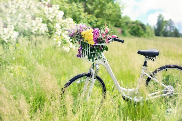 Święto w czwartek 13 maja? Wszystko, co musisz wiedzieć o ‘Hemelvaartsdag’ 9 bicycle 788733 640