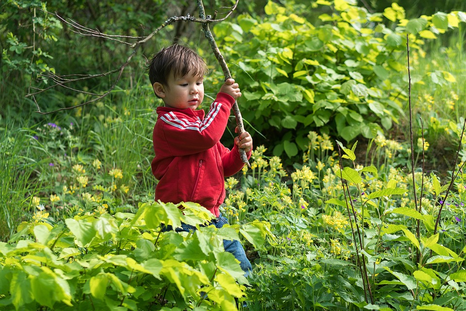 Efekt uboczny obostrzeń antywirusowych w Holandii: „Wszyscy robią to w krzakach!” 10 boy 1730251 960 720