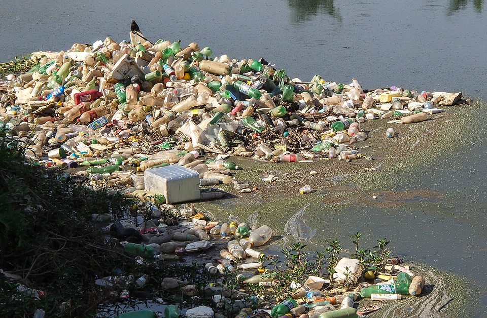 Dlaczego w Holandii piją wodę prosto z kranu? 11 trash 2385232 960 720