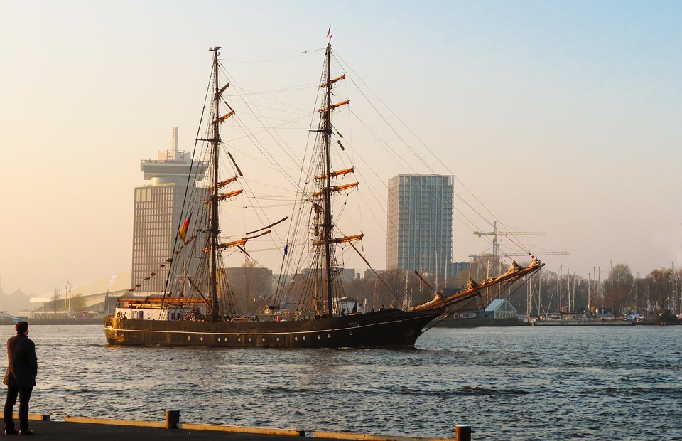 Niezwykłe: Delfin butlonosy pojawił się w... Amsterdamie! 10 travel 4080508 960 720