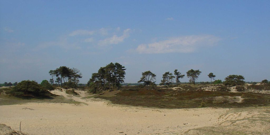 Warto zobaczyć: Park Narodowy Drents-Friese Wold i Dolmeny 8 dr1