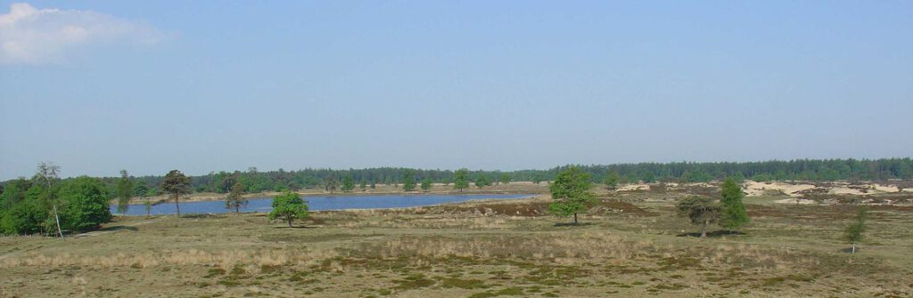 Warto zobaczyć: Park Narodowy Drents-Friese Wold i Dolmeny 9 dr2