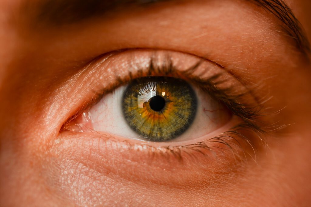 RIVM: Zbyt wielu mieszkańców Holandii ma niedobór witaminy A! 11 eye 2681783 1280