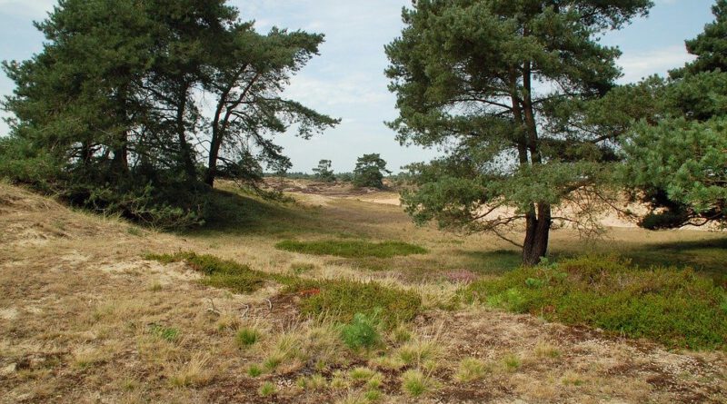 Holandia Drenthe atrakcje wakacje ciekawostki