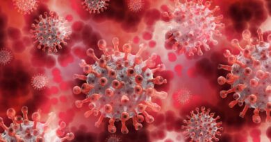 Holandia koronawirus dashboard coronavirus czerwiec 2020