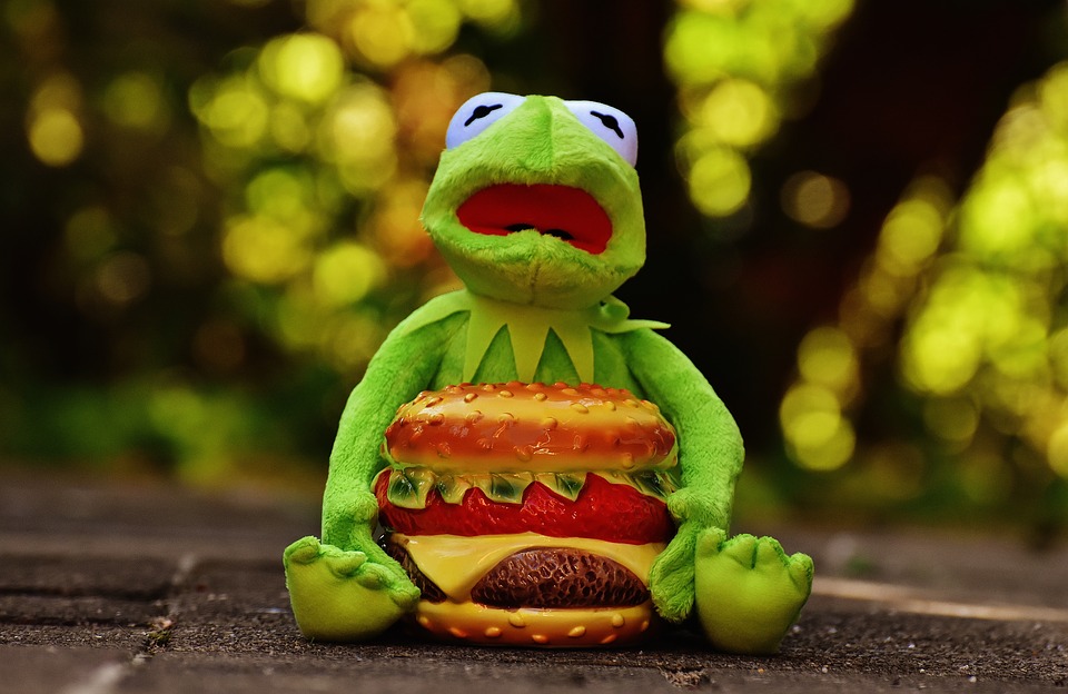 To nie do wiary, do czego Holendrzy używają kuchenki mikrofalowej... 12 hamburger