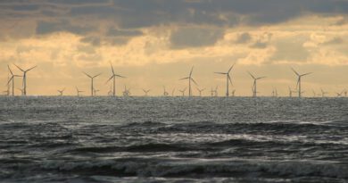 Holandia energia wiatrowa 2020