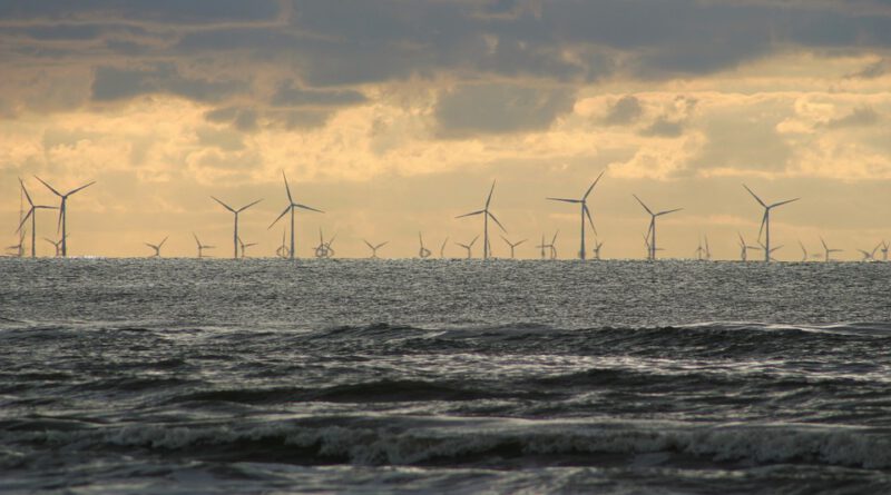 Holandia energia wiatrowa 2020