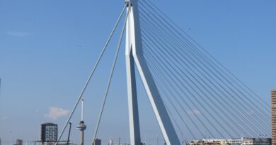 Holandia Rotterdam katastrofa komunikacja 2020