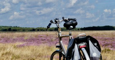 Holandia atrakcje ciekawostki sport rower 2020