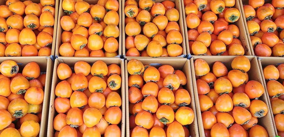Holandia: Nie przegap sezonu na ZDROWE owoce kaki! 10 persimmon 3737643 960 720