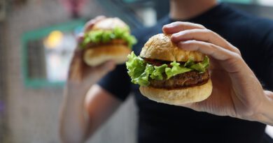Holandia praca pobyt ciekawostki hamburger bakterie