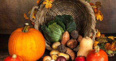 Holandia jesień dieta 2020 koronawirus