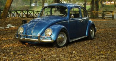 Holandia VW APK 2020 2021 przegląd techniczny