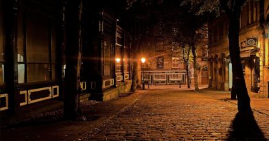 Holandia godzina policyjna avondklok styczeń 2021 koronawirus covid-19