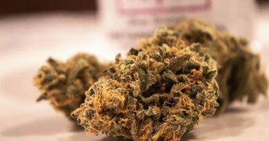 Holandia celnicy marihuana kokaina haszysz 2020