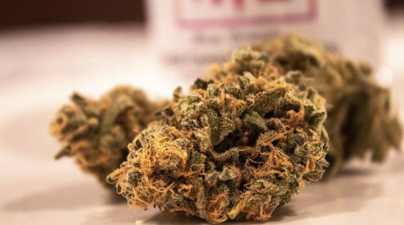 Holandia celnicy marihuana kokaina haszysz 2020