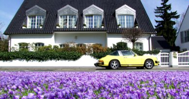 Holandia porsche limit prędkość