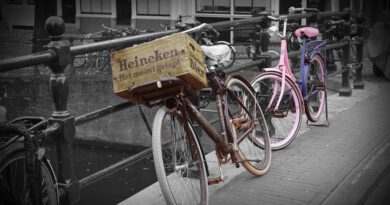 Heineken, upadek, piwo, browar, Holandia