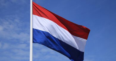 Holandia koronawirus Dzień Króla
