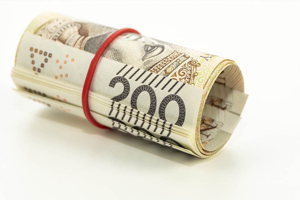Holandia: Zwrot podatku za 2020 rok trafi głównie do... 8 money 5215897 960 720