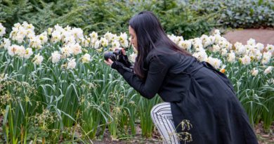 Holandia Keukenhof 2021