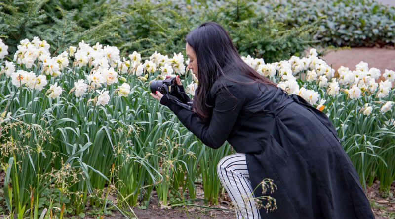 Holandia Keukenhof 2021