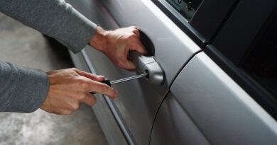 Holandia auto kradzież 2021