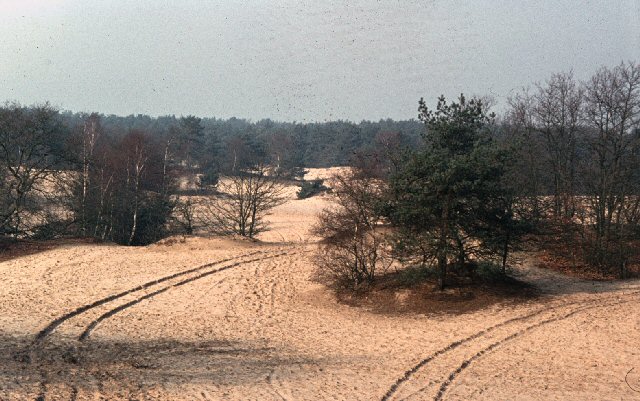 21 parków narodowych Holandii 11 Loonse en drunense duinen Hullie