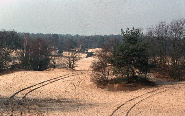 Loonse en drunense duinen Hullie