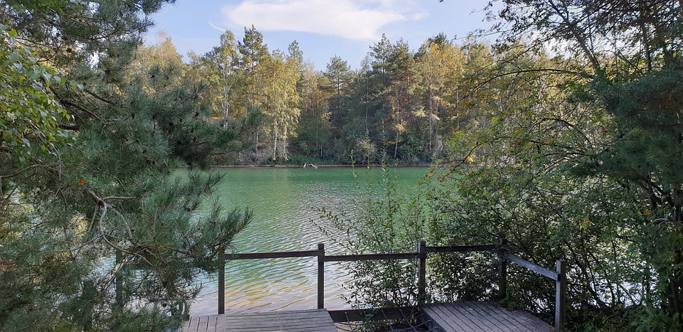 21 parków narodowych Holandii 28 de maasduinen 5972976 960 720