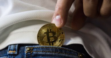 Holandia praca kryptowaluta bitcoin zarobki pizza