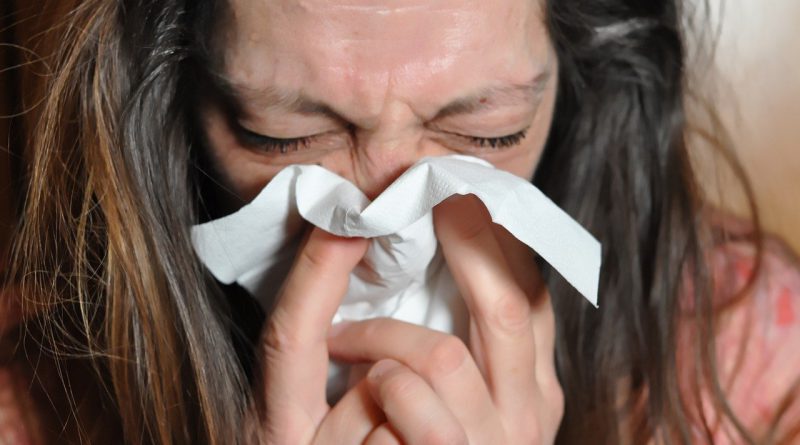 Holandia alergia zdrowie koronawirus pyłki katar 2021 wiosna