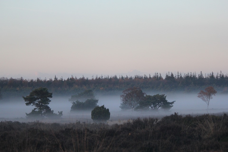 21 parków narodowych Holandii 10 veluwe